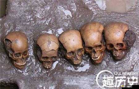 DNF游戲收集證物任務詳解，如何高效獲取堅硬的頭骨攻略