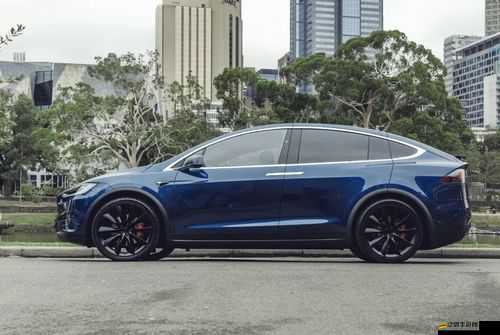 x9x9x9x9x 任意槽 2024 進口：探索未來進口新趨勢與機遇