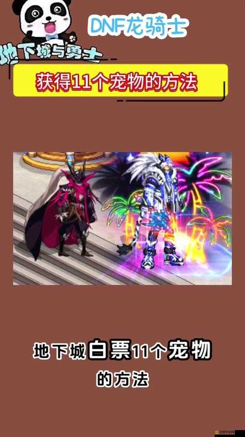 DNF6周年慶典寵物萌態盡顯，全面升級攻略助你輕松養成