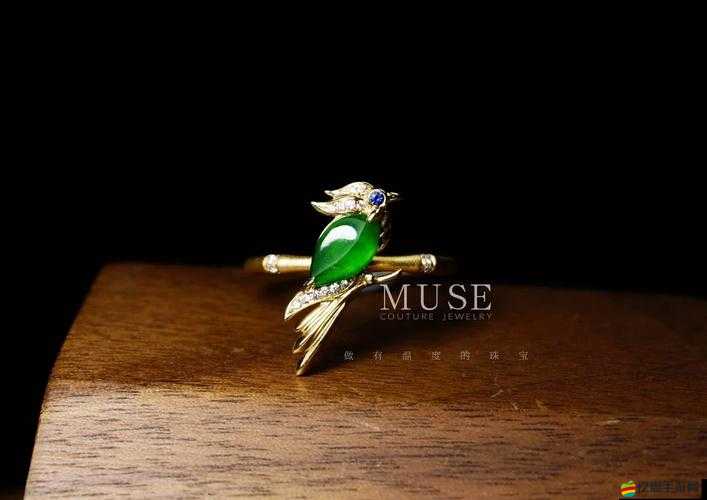 黑暗之魂2深度探索，揭秘鷹眼戒指的隱藏獲取攻略