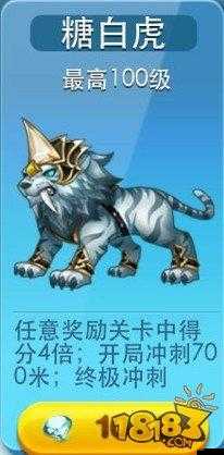 天天酷跑糖白虎滿級屬性全解析，性能卓越，實力堪比甚至超越暴力鳥叔