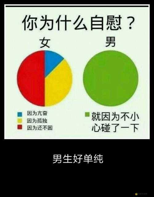 自 W 方法教程圖片詳細展示及操作步驟說明