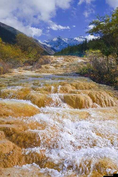 黃龍直搗溪水潺潺：生態(tài)奇跡震撼呈現(xiàn)