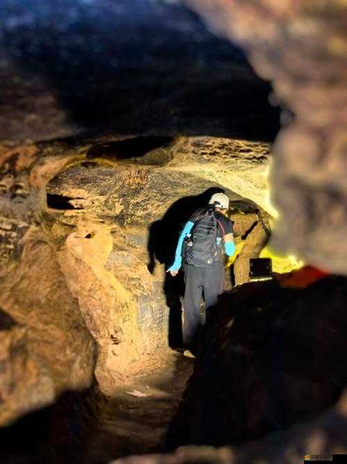 淫視頻下載精衛網：帶你進入世界的神秘之旅