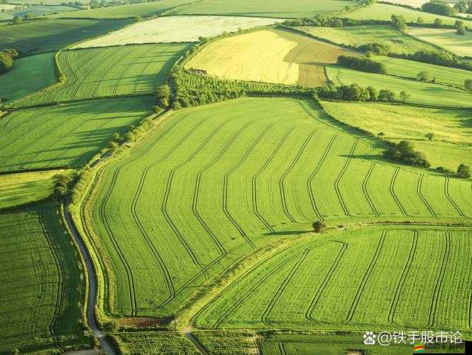 麻豆精產一二三產區的獨特魅力與發展前景探討
