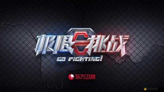 9.1 極限挑戰(zhàn)，激情燃燒，玩命加載中的熱血征程