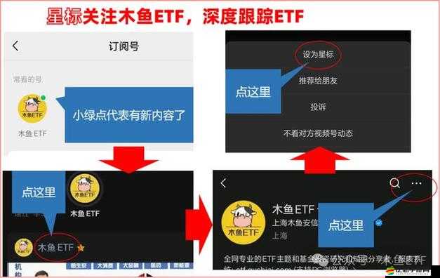 麻豆視傳媒官網免費觀看：警惕非法網站存在的風險與危害