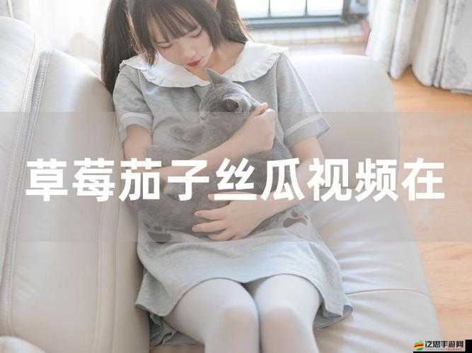 高清免費：草莓視頻在線觀看 18——無廣告、無病毒，暢享精彩視頻