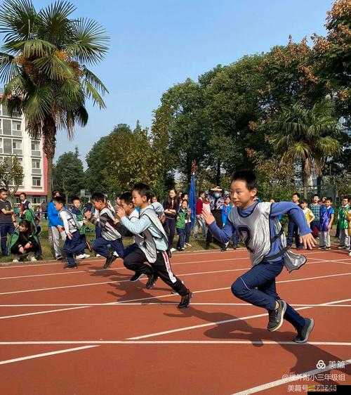 劇烈運動打撲克：在汗水與心跳中釋放激情