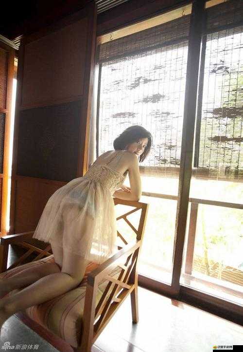 WWWXXXXX：探索未知領域 開啟全新奇妙之旅