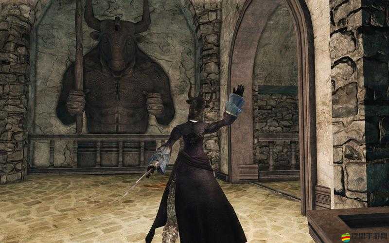 黑暗之魂2深度攻略，石化女、四瘋子及青蛙BOSS的終極戰(zhàn)斗策略解析