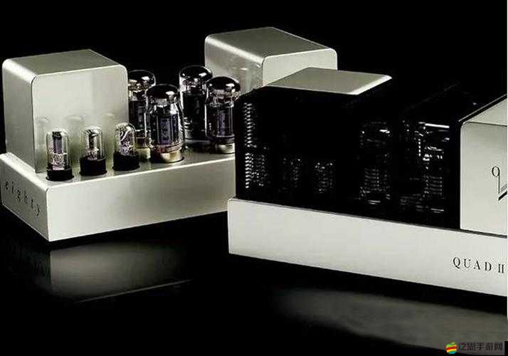 黑寡婦 ESSENTIAL 產品介紹之詳細信息與獨特優勢大揭秘