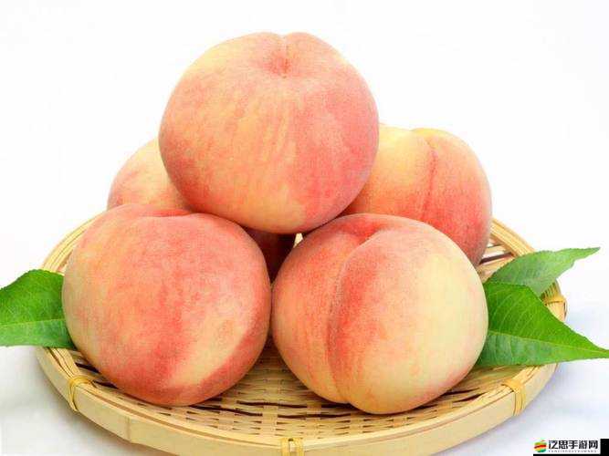 香蕉蘋果水蜜桃絲瓜視頻無(wú)收費(fèi)限制但要注意合理使用資源