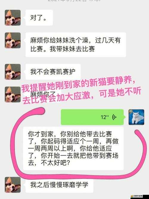 51cg 的吃瓜方式和玩法介紹：帶你走進獨特吃瓜世界