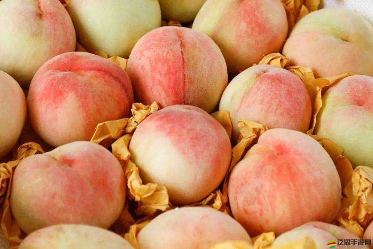 水蜜桃隱私密視頻免費(fèi)：精彩內(nèi)容不容錯(cuò)過(guò)