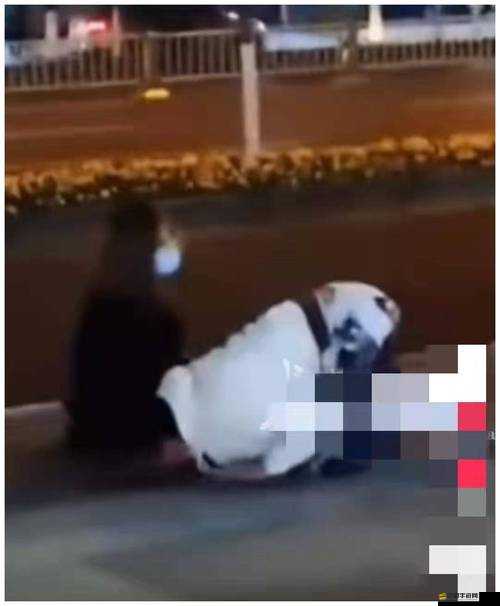 女子深夜上演瘋狂性行為：是道德淪喪還是人性扭曲？