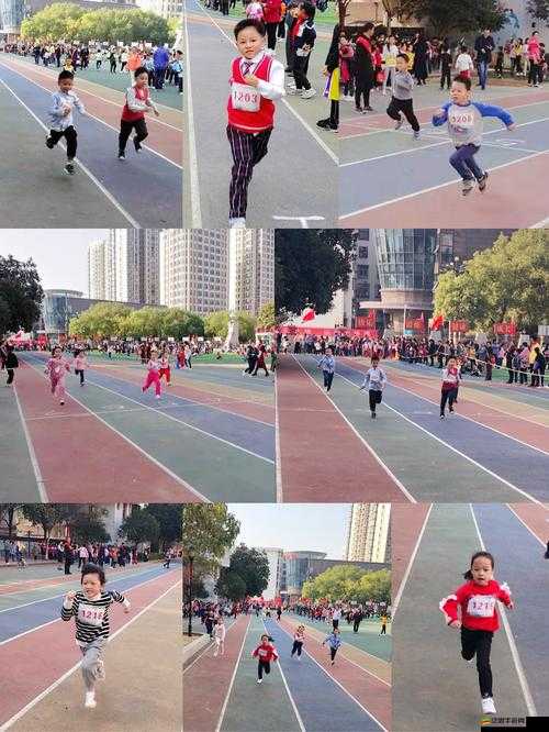 凌亂的校園運動會：一場充滿意外和驚喜的別樣體育盛事