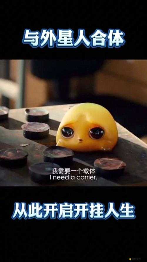 小黃魚(yú) b 站 ：探索獨(dú)特視頻世界的奇妙之旅從此開(kāi)啟