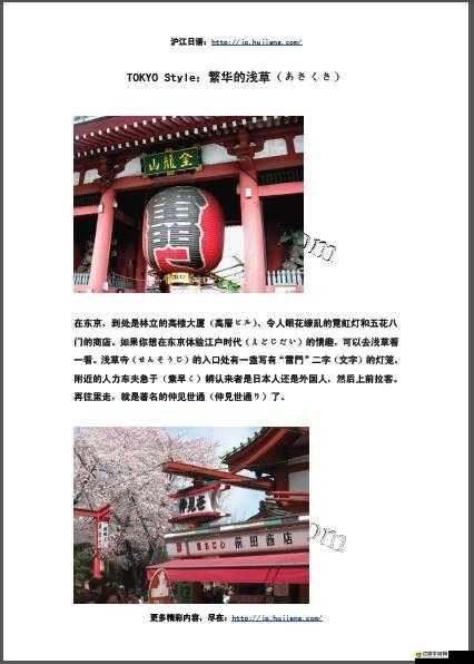 日本人 AA 制：探究其背后的文化觀念和社交習(xí)慣成因