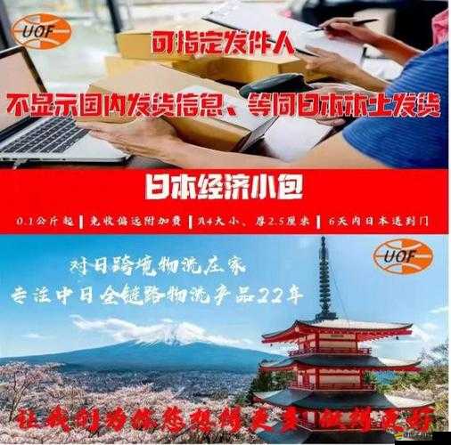 日本 FBA 專線雙清優勢盡顯：高效便捷物流助跨境電商騰飛