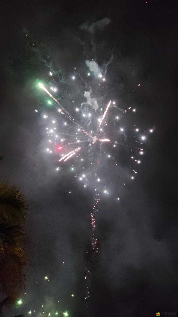 當花火自我獎勵被開拓者發現且綻放絢麗光彩