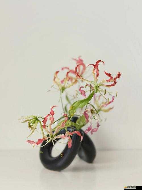 兩陽插花新：探索別樣的藝術之美與創新魅力