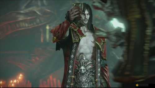 惡魔城暗影之王宿命鏡面游戲黑屏跳出問題解決方案大揭秘！