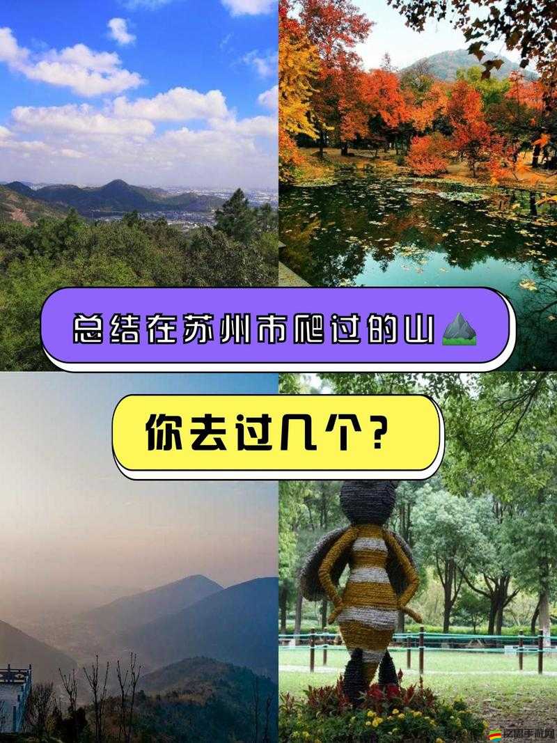 37 人文大但汾：探索獨特人文魅力與深厚歷史底蘊之旅