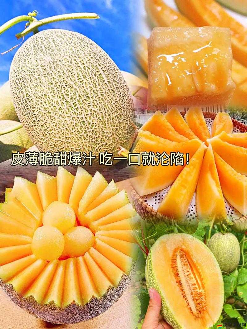 吃瓜網今日吃瓜熱門大瓜在線觀看快來一起圍觀精彩內容不容錯過