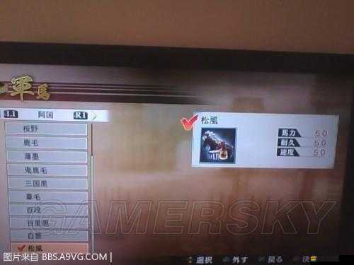 戰國無雙4游戲內松風馬獲取方法與途徑全面詳細解析