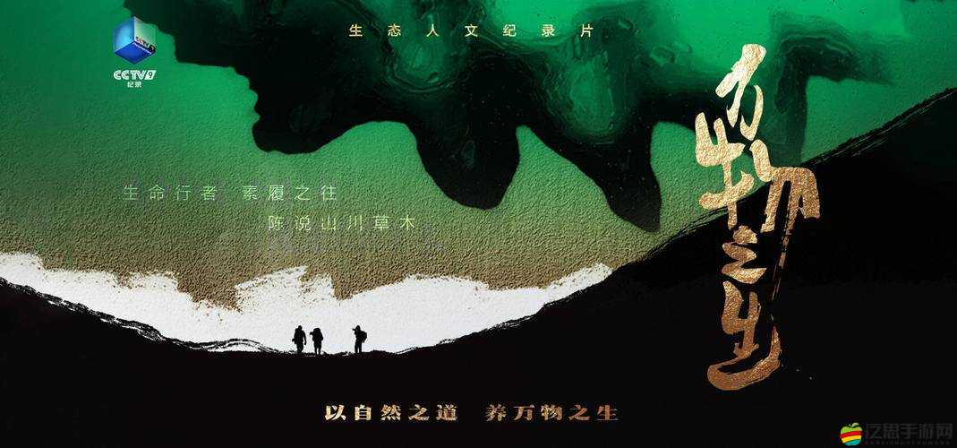 國內久經典 AAAAA 片之獨特魅力與深遠影響