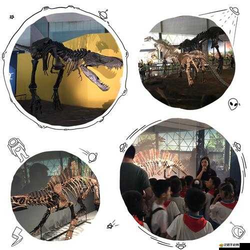 我愛搞：充滿激情與創造力的探索之旅永不停歇