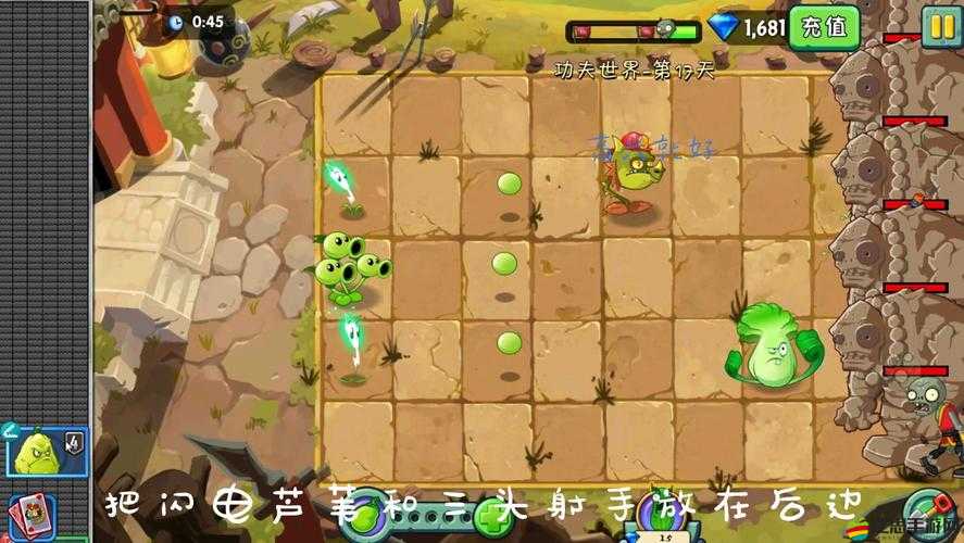 植物大戰僵尸2功夫世界安卓版深度攻略，全面揭秘鉆石高效獲取秘籍