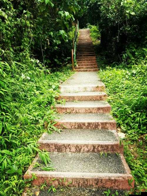 大長徑視頻 1080p 展現高清畫質的獨特魅力與優勢所在