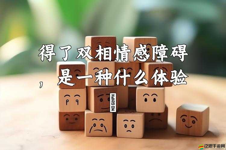 97 愛愛：一場別樣的情感體驗與探索