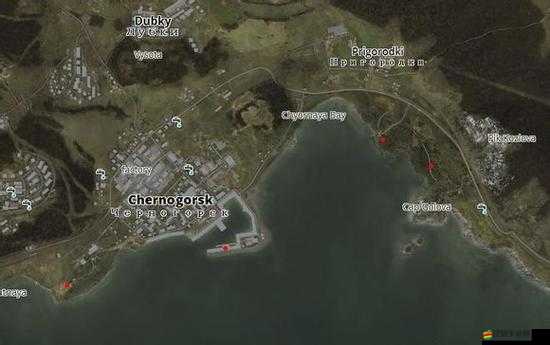 DayZ獨(dú)立版深度攻略，掌握高效攻擊技巧，助你順利開(kāi)啟驚險(xiǎn)生存之旅