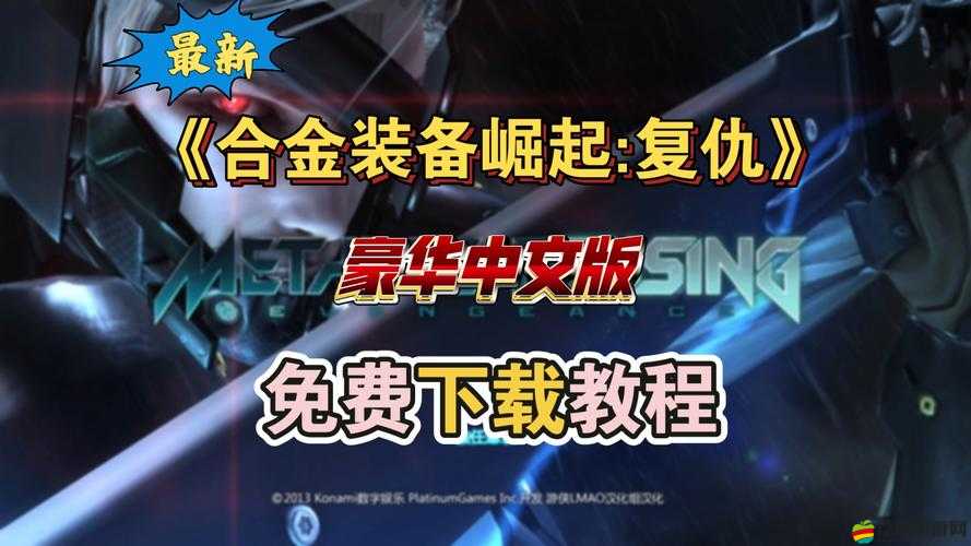 合金裝備崛起，復(fù)仇PC版游戲存檔位置全面查找與解析指南