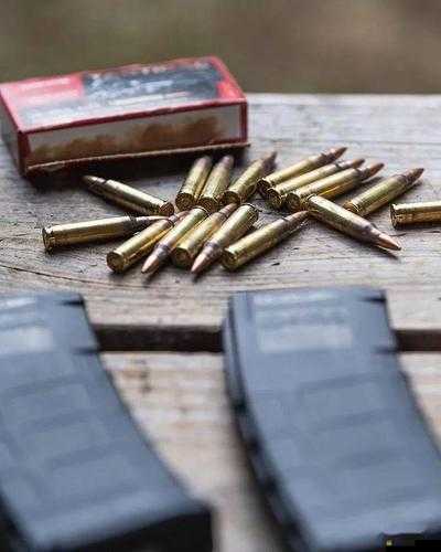 DayZ獨立版必備，高效末世生存彈藥管理工具——彈藥盒詳解