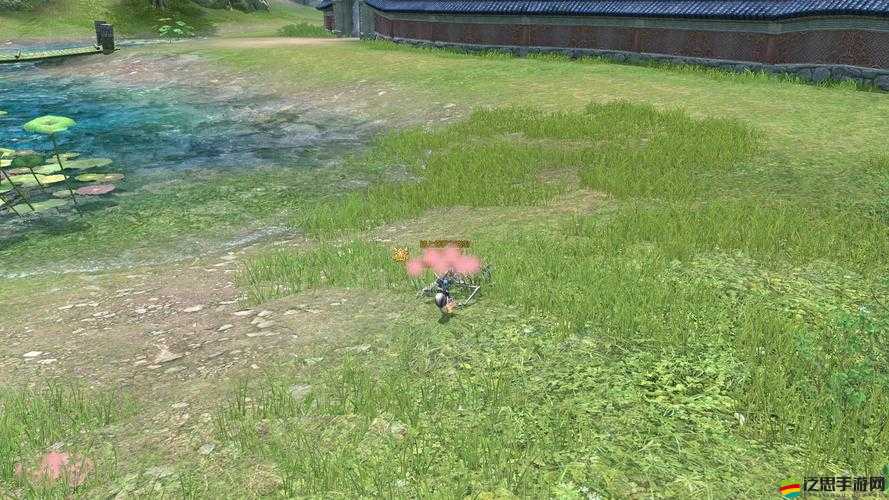探索劍靈世界，雞肉樣本的尋覓、采集與獨特冒險之旅