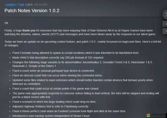 揭秘雨中冒險游戲，破解版與正版如何實現聯機及潛在風險分析