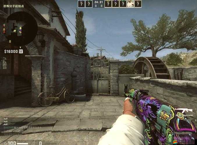 暴躁 CSGO 女性玩家技巧：如何在游戲中展現(xiàn)獨特魅力與高超技藝