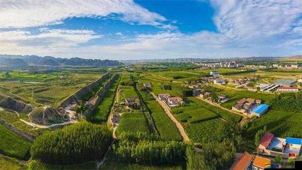 51 大豆行情網仙林蹤 2024 功能：與全面展望