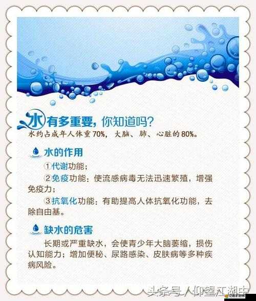 生命之源：從锏銅銅好多水看水的重要性