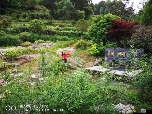 李梅激情婬亂 1 至 13 背后的隱秘故事