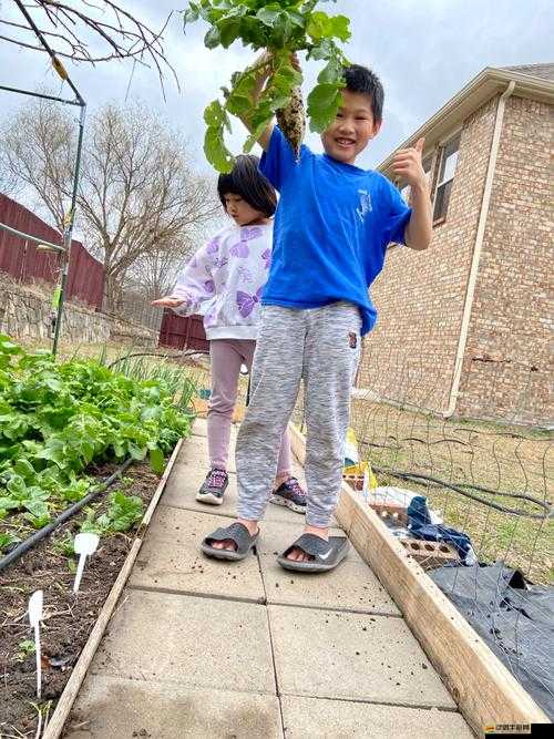 拔蘿卜能使孩子長高嗎：探究這一說法的科學依據與真相