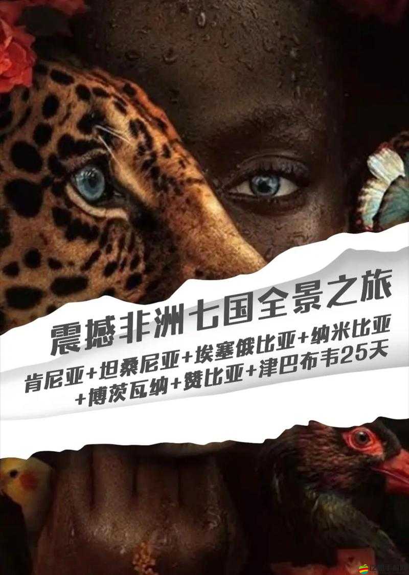 色喲喲非洲——探索神秘非洲大陸的奇妙之旅