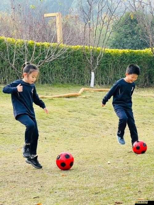 Gy 同 2023：探索未來，開創(chuàng)無限可能