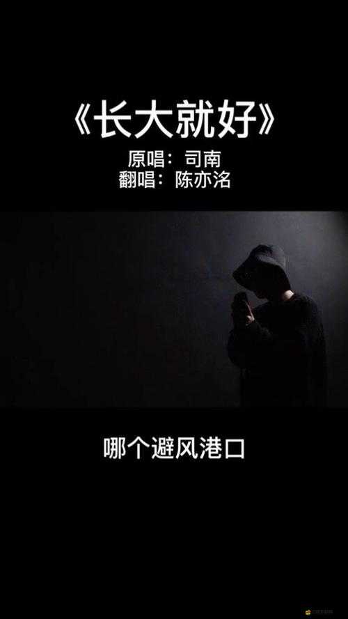 1024AV 天堂，視頻的避風(fēng)港：探討網(wǎng)絡(luò)內(nèi)容的傳播與監(jiān)管