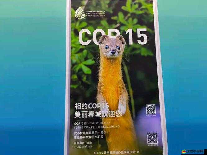 亞精產品 1688 優質商品匯聚地等你來發現