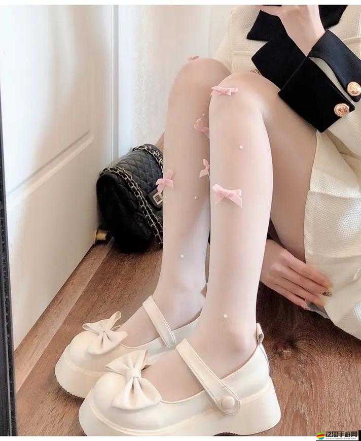 白絲露內的獨特魅力與精彩故事等你來探索